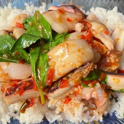 กะเพราปลาหมึกราดข้าว