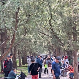 ZhongShan Park
