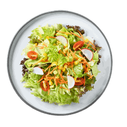 การ์เด้นสลัด