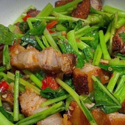 ข้าวราดผัดคะน้าหมูกรอบ