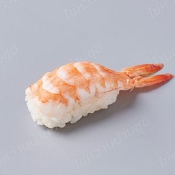 ซูชิกุ้ง