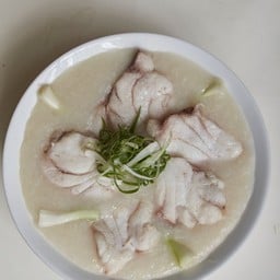 Grouper Congee