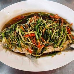 ปลากระพงนึ่งซีอิ้ว (ปลาเป็นตัว)