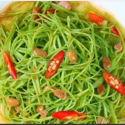 ผักผักบุ้งฝอย