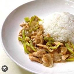ข้าวผัดพริกอ่อนหมู