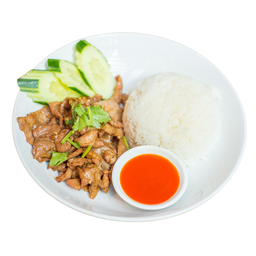 ผัดกระเทียม (Stir Fried Garlic)