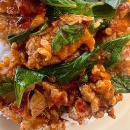 ผัดพริกแกงเนื้อใบโหรพา