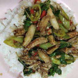 กระเพราปู