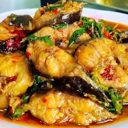 ผัดเผ็ดปลาดุก