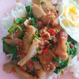 กะเพราคอหมูราดข้าว(คอหมู)