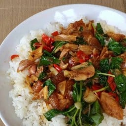 ข้าวกะเพราคอหมูย่าง