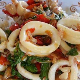 ข้าวราดกระเพราปลาหมึก