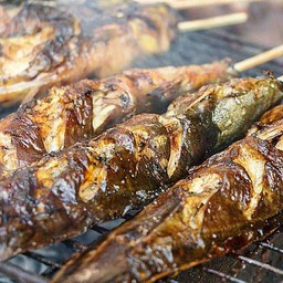 ปลาดุกย่าง 1ตัว