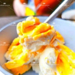 ไอติมไข่แข็งธรรมดา