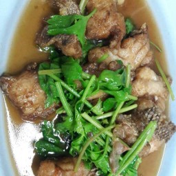 ข้าวต้มปลาเจ๊ใหญ่