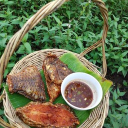 ทอดปลานิล