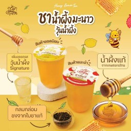 ชาชาชา
