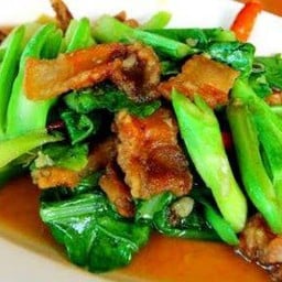 คะน้าน้ำมันหอย