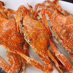 ปูม้านึ่ง ครึ่งกิโลกรัม