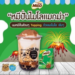 นมหมีปั่นไมโลแมกม่า