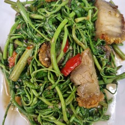 Stir Fried Water Mimosa With Crispy Pork