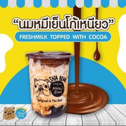 นมหมีเย็นโก้เหนียว