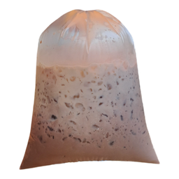 สารพัดเกี๊ยว & ปิ้งย่างหม่าล่า & ข้าวจี่ 1