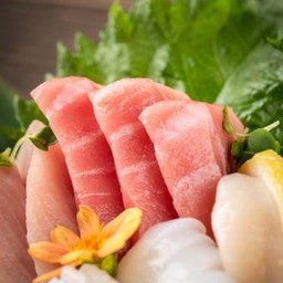 C11 - โอโทโร่ (ซาชิมิ) Otoro (Bluefin) Sashimi