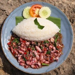 ข้าวกระเพราหมึกกะตอย