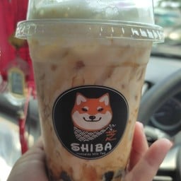 Shiba hokkaido milk tea