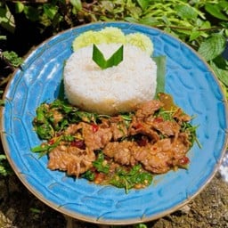 ข้าวกระเพราเนื้อชิ้น