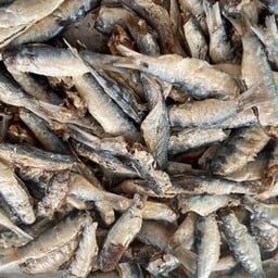 ปลาอกเเร้