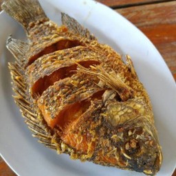 ปลานิลทอด