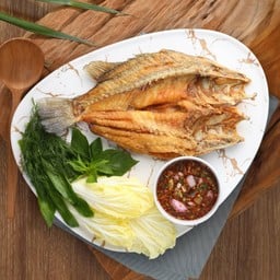 ปลากระพงลุยสวน