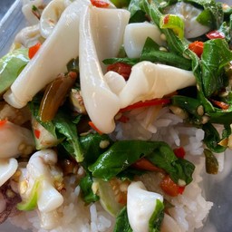 Stir Fried Holy Basil With Squid On Rice
