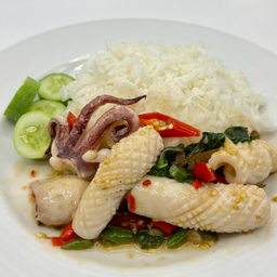 หมึกผัดกะเพราราดข้าว 	