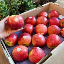 แอปเปิ้ลแอมโบรเซีย NZ. ลูกใหญ่