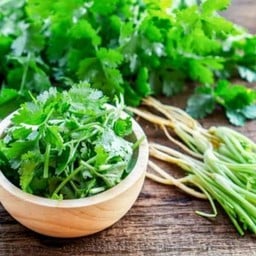 เพิ่มผักชีซอย