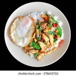 กระเพราไก่ไข่ดาว