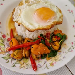 ผัดกระเพราหอยแมงภู่