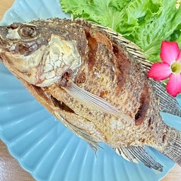 ปลานิลทอด