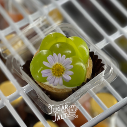 Baby Shine muscat cheese tart - เบบี้ ไชน์มัสแคท ชีสทาร์ต