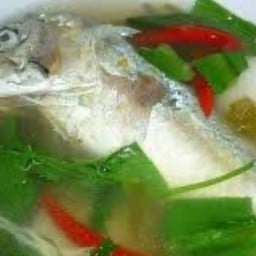 ต้มยำปลาทูสด 冬阴功新鲜鲭鱼