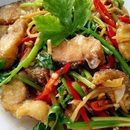 ปลากระพงผัดขึ้นฉ่าย