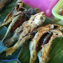 ร้าน ณ.ดา กะเพราตามสั่งวิศวะ  - ฮาลาล