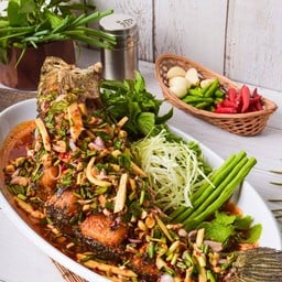 ปลาช่อนอยู่เย็น (ตัว)