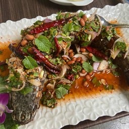 ลาบปลาช่อน