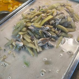 สายบัวปลาทู