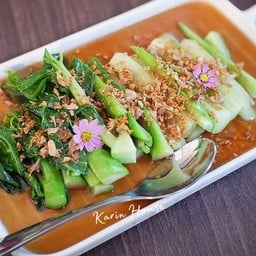 คะน้าฮ่องกงน้ำมันหอย