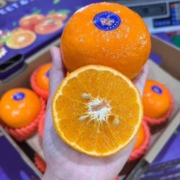 ส้มไต้หวัน